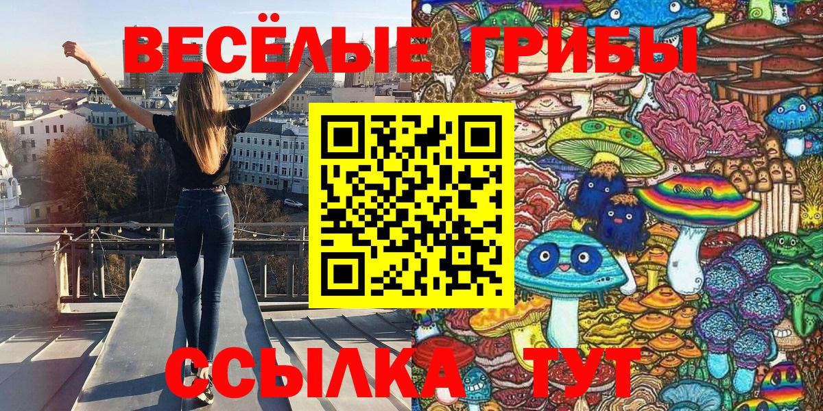 Псилоцибиновые грибы ЛСД  Вход с VPN  Вольск 
